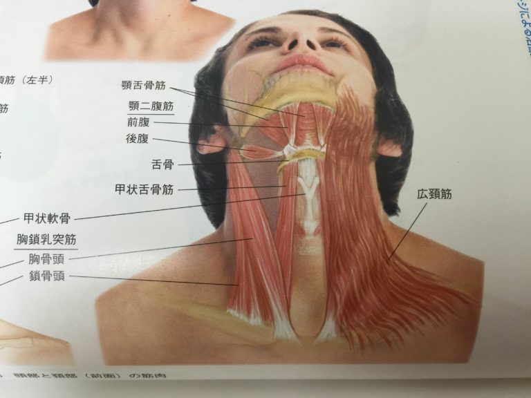 首のしこり：結局のところ、それは何でしょうか？